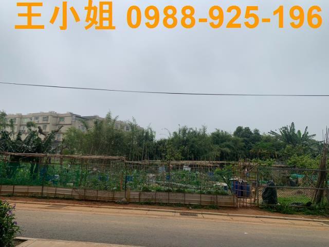 正月桃路20米路美農地