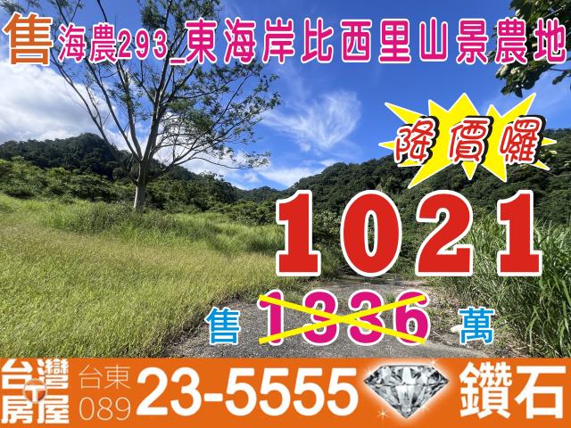 台東農地台東房地產台東土地買賣台東房仲台東仲介