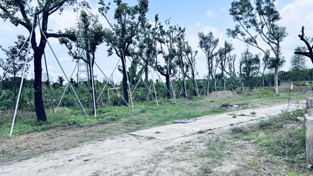 屏東潮州農地-1