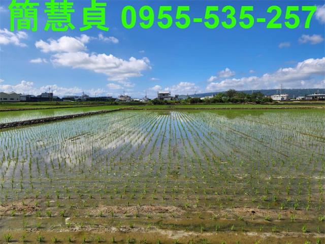 南投農地-1