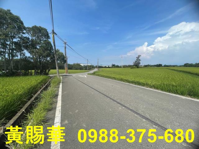 桃園農地-6