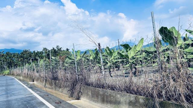 屏東萬巒農地-0