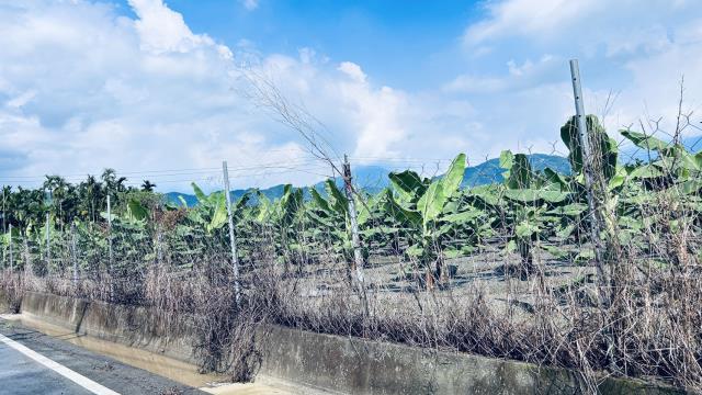 屏東萬巒農地-2