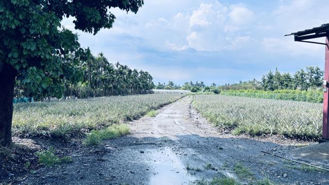 屏東萬巒農地-4