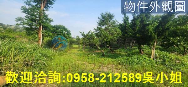 新竹縣湖口鄉成功路士林電機邊停車用地