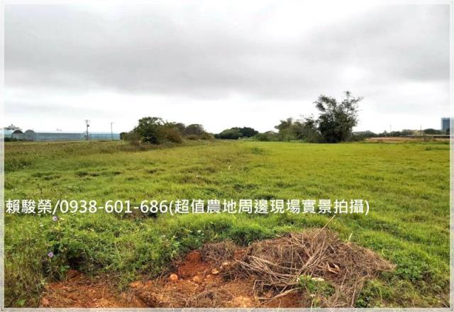 桃園中壢月眉山東農地