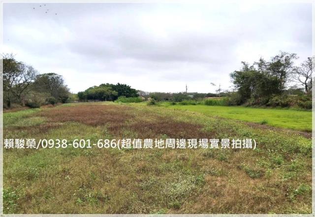 桃園中壢月眉山東農地