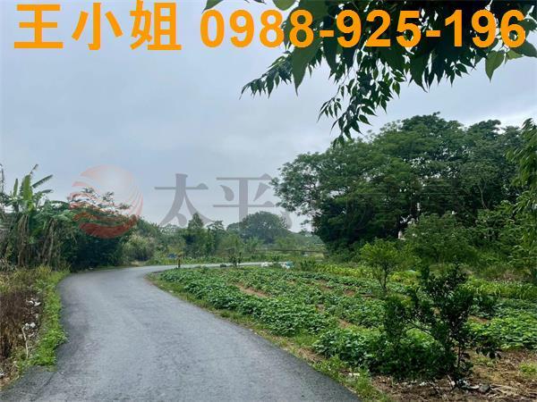 桃園八德農地-1