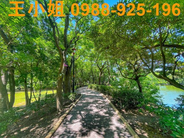 桃園八德農地-2