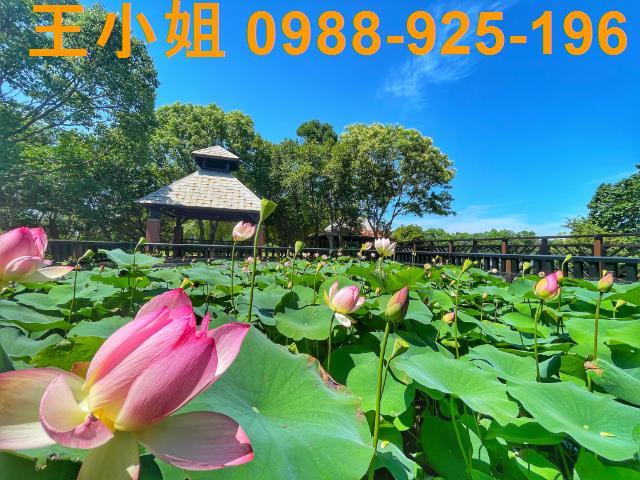 桃園八德農地-4