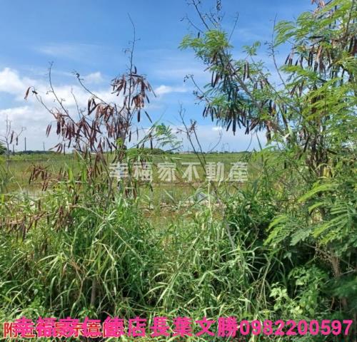 台南農地-0