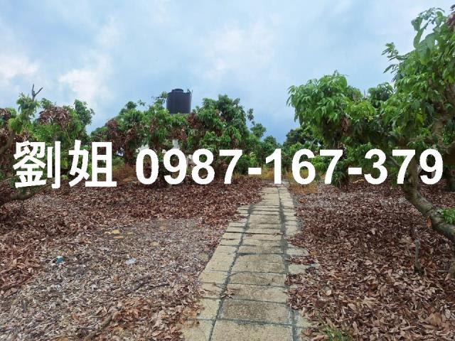 高雄大樹農地-0