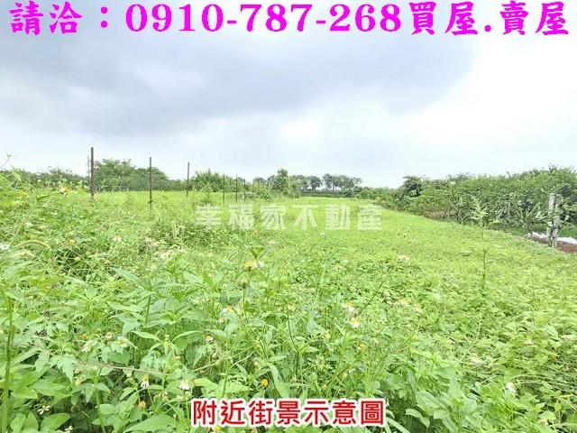 台南麻豆農地-4