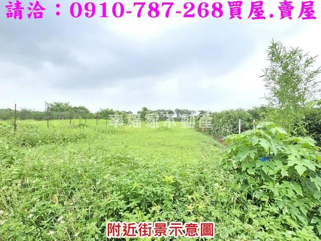 台南麻豆農地-5