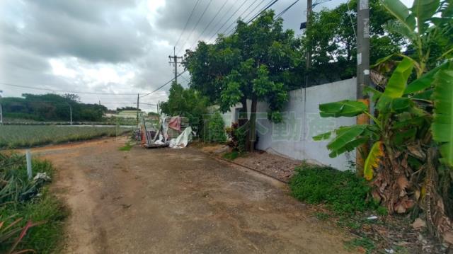 高雄大樹農地-1