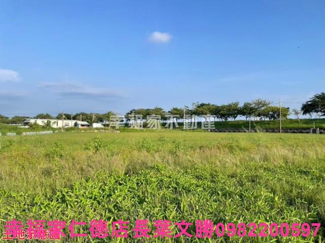 台南仁德農地-13