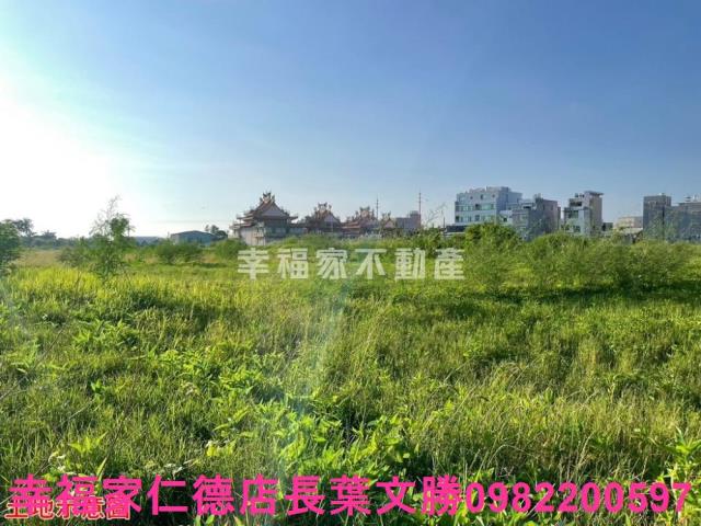 台南仁德農地-14