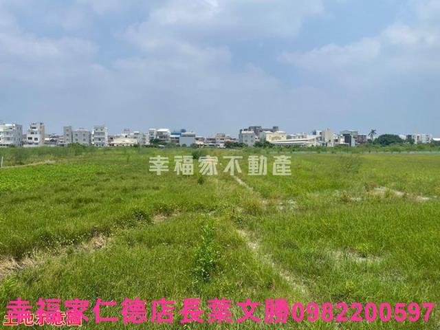 台南仁德農地-2