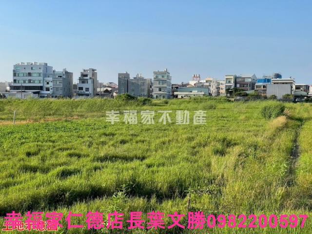 台南仁德農地-4