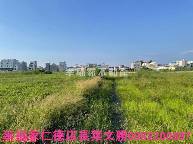 台南仁德農地-5