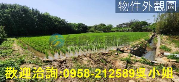新竹農地-9