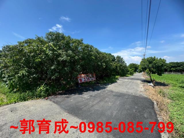 嘉義農地-6