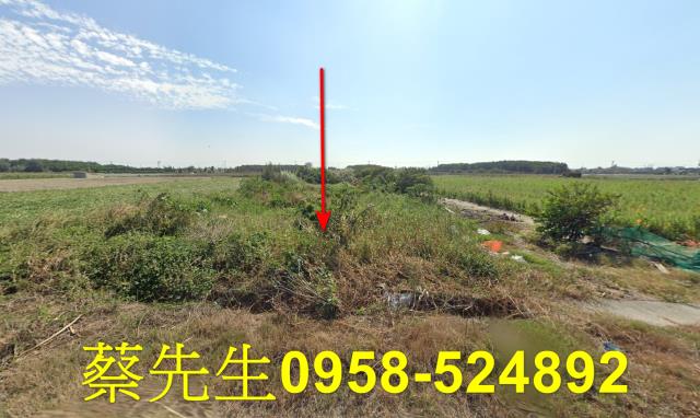 法拍農地雲林古坑緩坡休閒農地117分小面積環境美輕