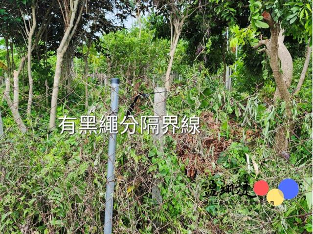 屏東新埤農地-3