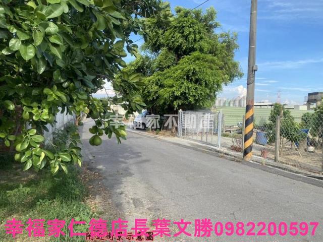麻豆農地-11