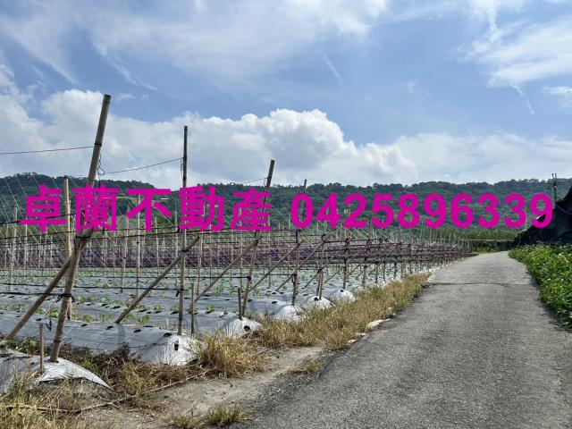 8D219卓蘭農牧用地