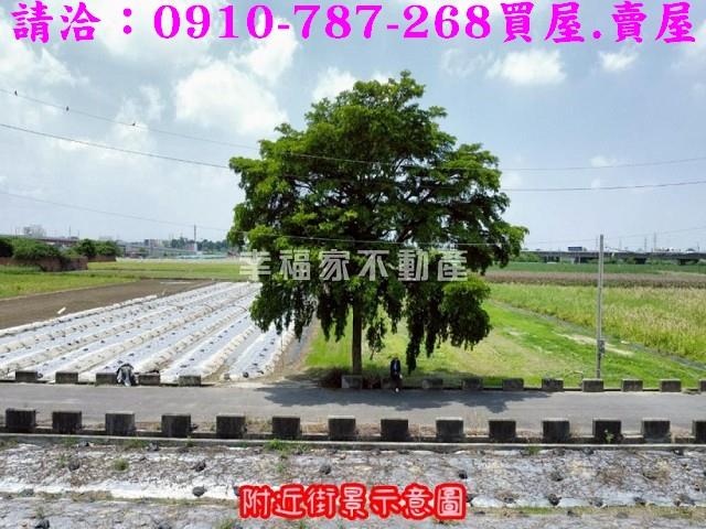 台南新市農地-13