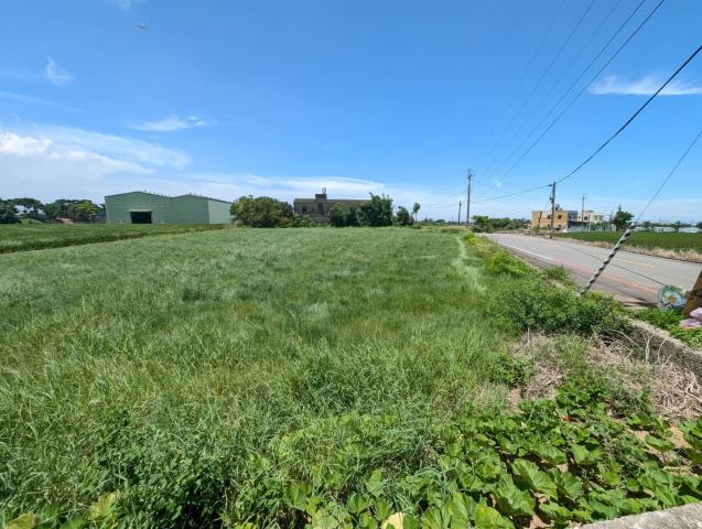 桃園觀音農地-1