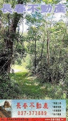 苗栗銅鑼農地-4