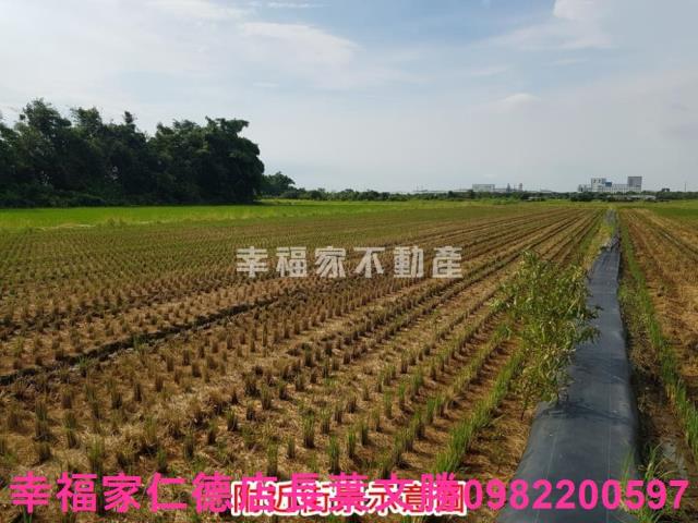 台南農地-13