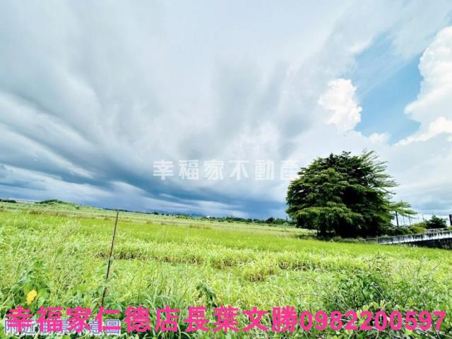 台南善化農地-10