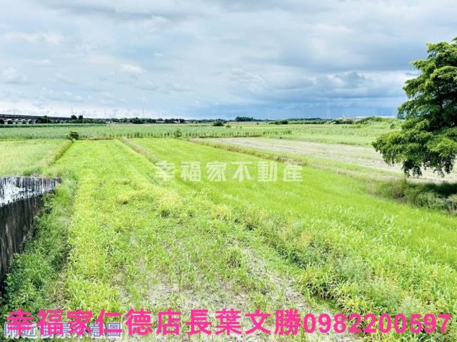 台南善化農地-2