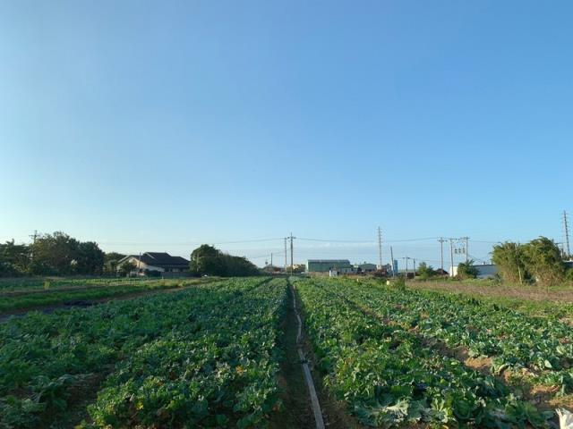 桃園新屋農地-5