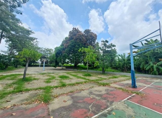 高雄阿蓮農地-1