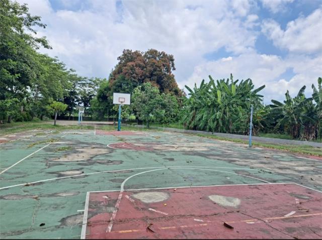 高雄阿蓮農地-3