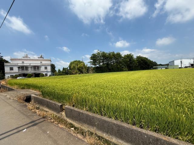 桃園農地-2