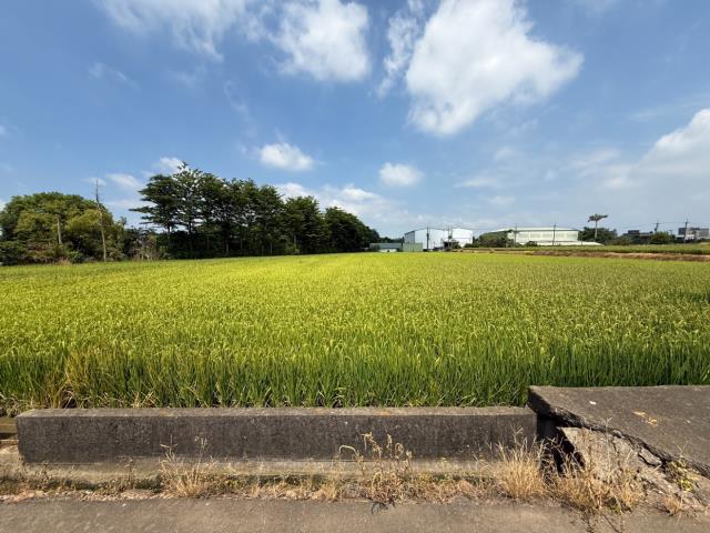 桃園農地-4