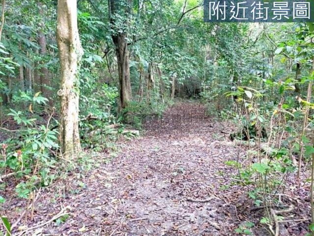 台南左鎮農地-9