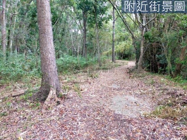 台南左鎮農地-10