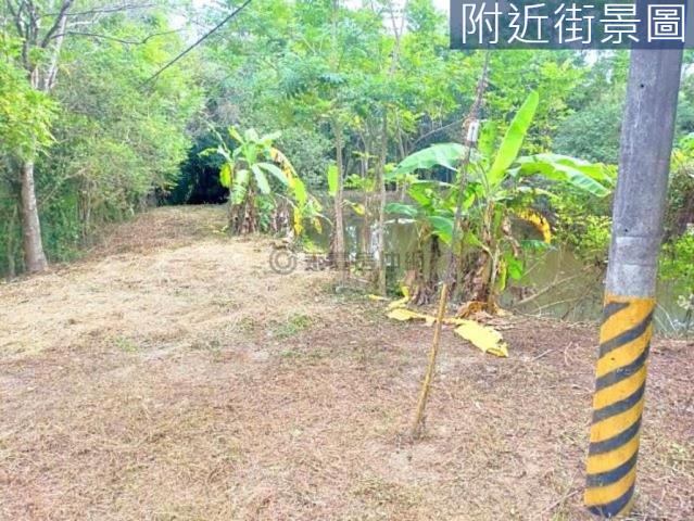 台南左鎮農地-12