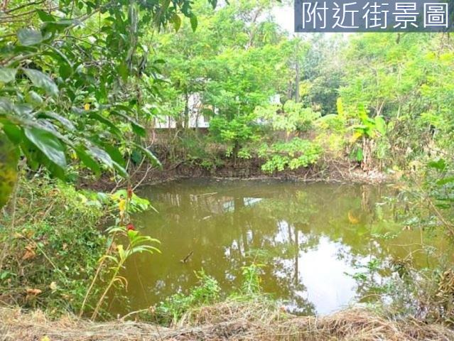 台南左鎮農地-13