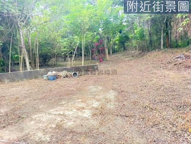 台南左鎮農地-3