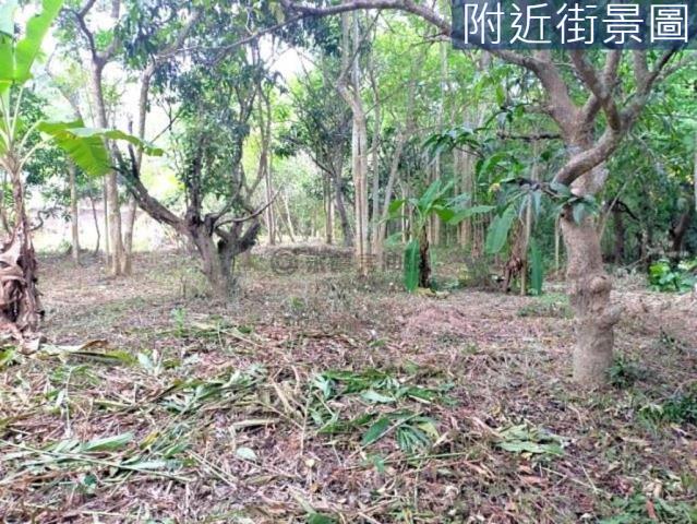 台南左鎮農地-5