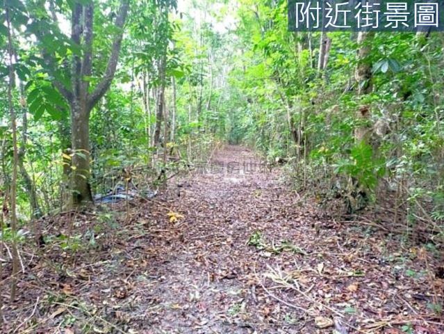 台南左鎮農地-7