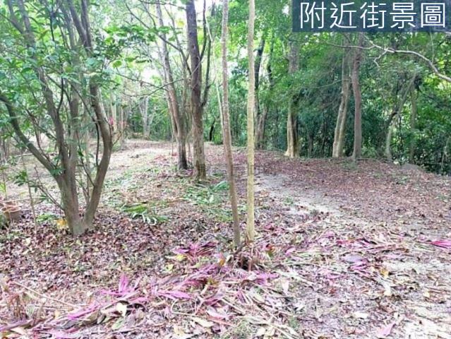 台南左鎮農地-8