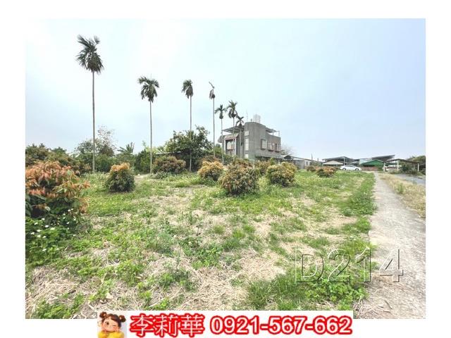 台南東山農地-9